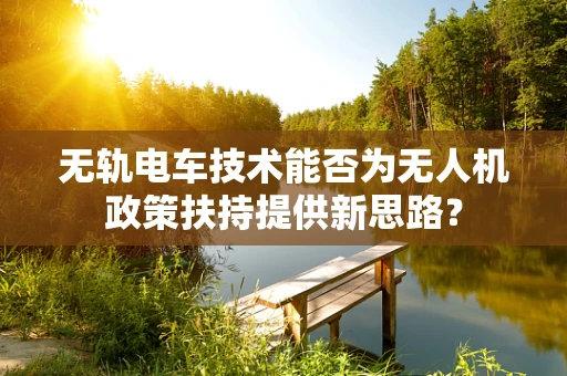 无轨电车技术能否为无人机政策扶持提供新思路？