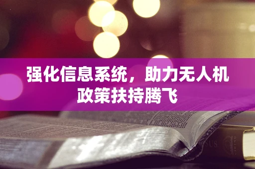 强化信息系统，助力无人机政策扶持腾飞
