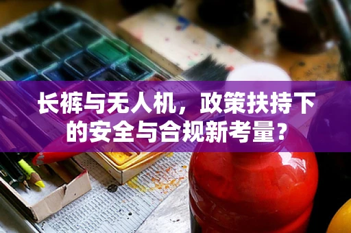 长裤与无人机，政策扶持下的安全与合规新考量？