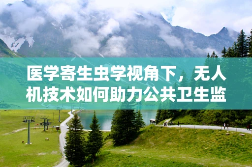 医学寄生虫学视角下，无人机技术如何助力公共卫生监测？