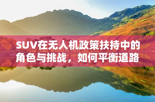 SUV在无人机政策扶持中的角色与挑战，如何平衡道路安全与技术创新？