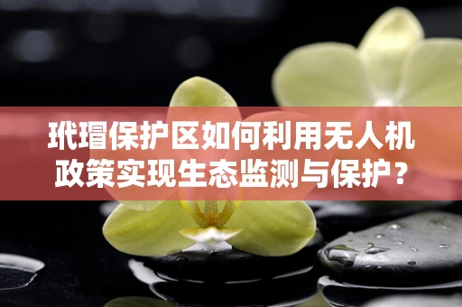 玳瑁保护区如何利用无人机政策实现生态监测与保护？