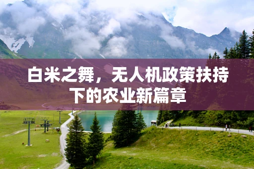 白米之舞，无人机政策扶持下的农业新篇章