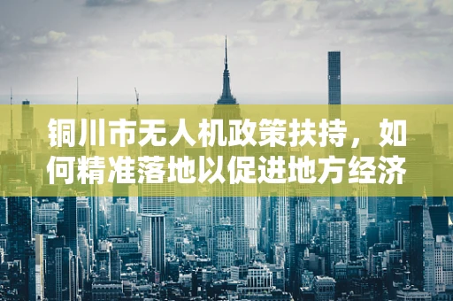 铜川市无人机政策扶持，如何精准落地以促进地方经济发展？
