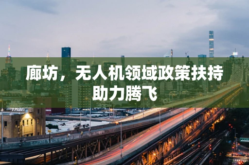 廊坊，无人机领域政策扶持助力腾飞