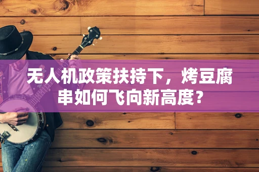 无人机政策扶持下，烤豆腐串如何飞向新高度？