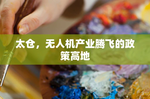 太仓，无人机产业腾飞的政策高地