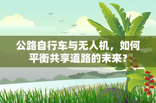 公路自行车与无人机，如何平衡共享道路的未来？