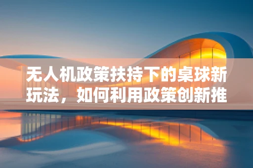 无人机政策扶持下的桌球新玩法，如何利用政策创新推动无人机在休闲娱乐领域的应用？