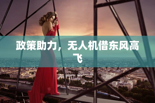 政策助力，无人机借东风高飞