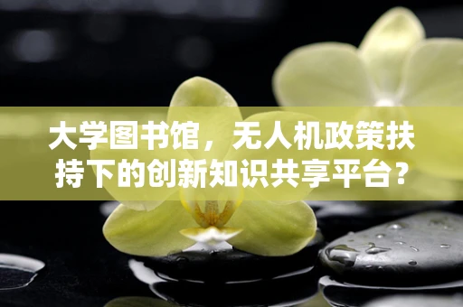 大学图书馆，无人机政策扶持下的创新知识共享平台？