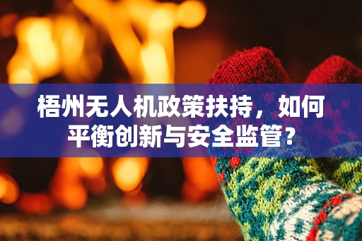 梧州无人机政策扶持，如何平衡创新与安全监管？