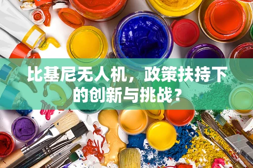比基尼无人机，政策扶持下的创新与挑战？