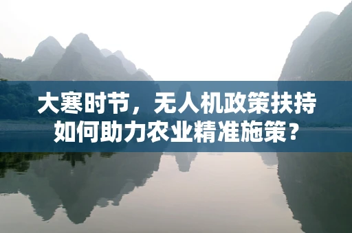 大寒时节，无人机政策扶持如何助力农业精准施策？
