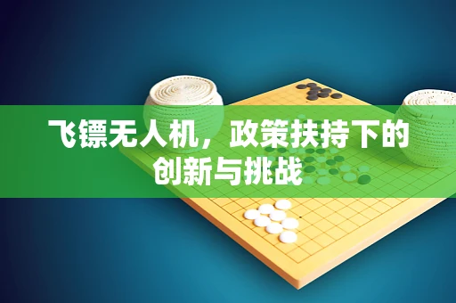 飞镖无人机，政策扶持下的创新与挑战