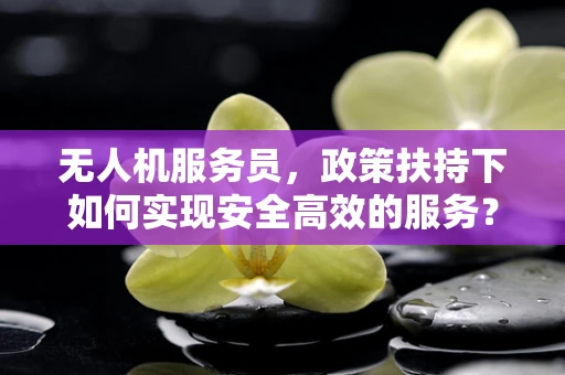 无人机服务员，政策扶持下如何实现安全高效的服务？