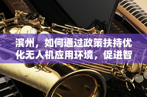 滨州，如何通过政策扶持优化无人机应用环境，促进智慧城市发展？