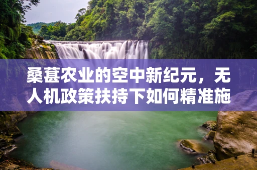 桑葚农业的空中新纪元，无人机政策扶持下如何精准施策？