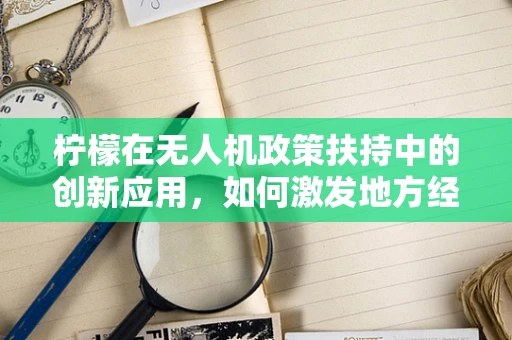 柠檬在无人机政策扶持中的创新应用，如何激发地方经济的‘酸甜’双赢？