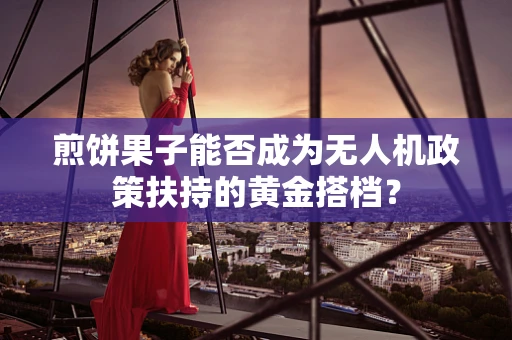 煎饼果子能否成为无人机政策扶持的黄金搭档？