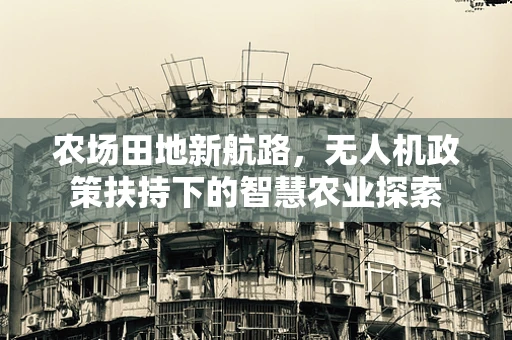 农场田地新航路，无人机政策扶持下的智慧农业探索