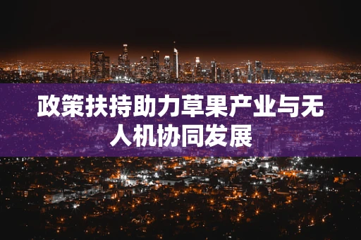 政策扶持助力草果产业与无人机协同发展