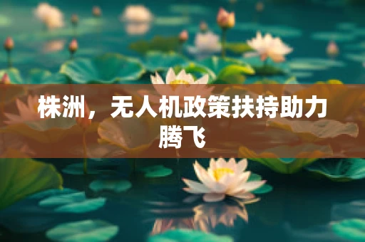 株洲，无人机政策扶持助力腾飞