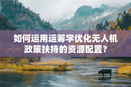如何运用运筹学优化无人机政策扶持的资源配置？
