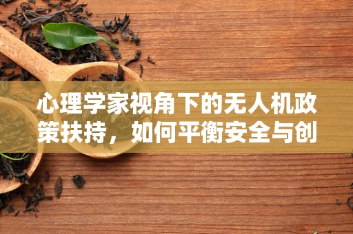 心理学家视角下的无人机政策扶持，如何平衡安全与创新？