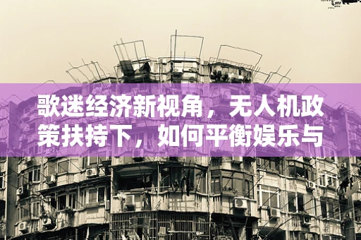 歌迷经济新视角，无人机政策扶持下，如何平衡娱乐与监管？