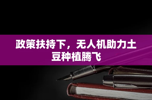政策扶持下，无人机助力土豆种植腾飞