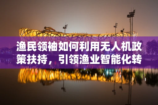 渔民领袖如何利用无人机政策扶持，引领渔业智能化转型？