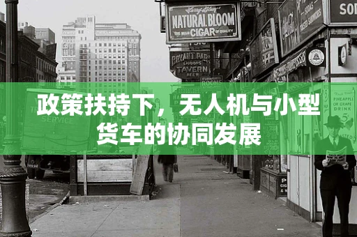 政策扶持下，无人机与小型货车的协同发展