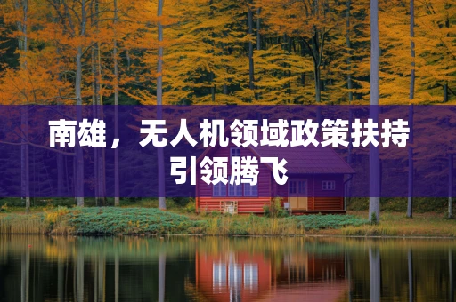 南雄，无人机领域政策扶持引领腾飞