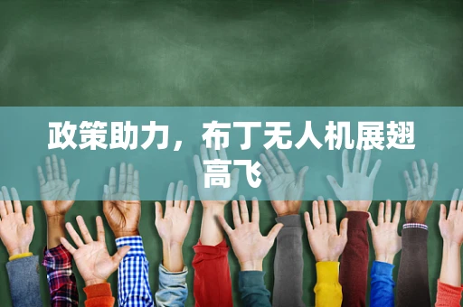 政策助力，布丁无人机展翅高飞