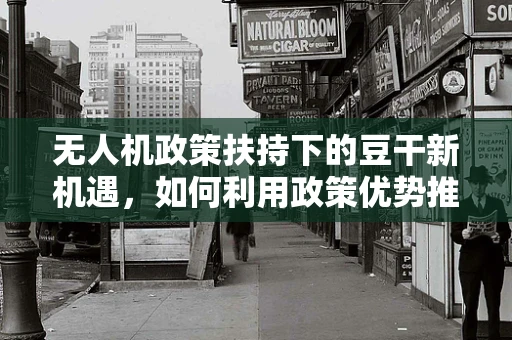 无人机政策扶持下的豆干新机遇，如何利用政策优势推动地方特色农产品航拍宣传？