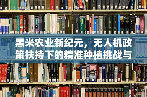黑米农业新纪元，无人机政策扶持下的精准种植挑战与机遇