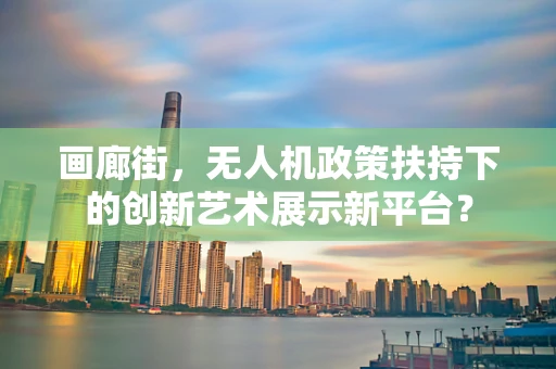画廊街，无人机政策扶持下的创新艺术展示新平台？