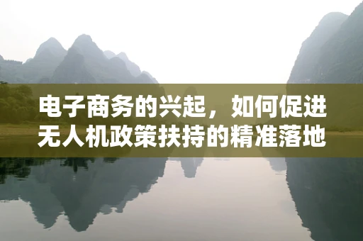 电子商务的兴起，如何促进无人机政策扶持的精准落地？