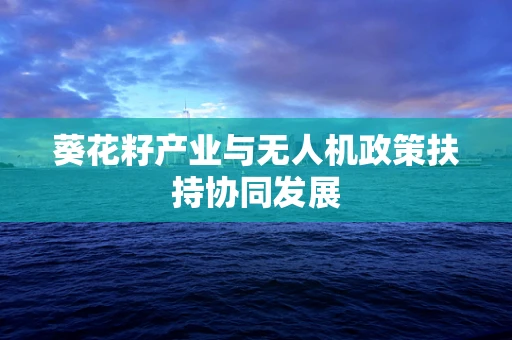 葵花籽产业与无人机政策扶持协同发展