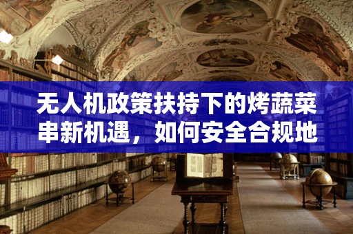 无人机政策扶持下的烤蔬菜串新机遇，如何安全合规地利用无人机配送？