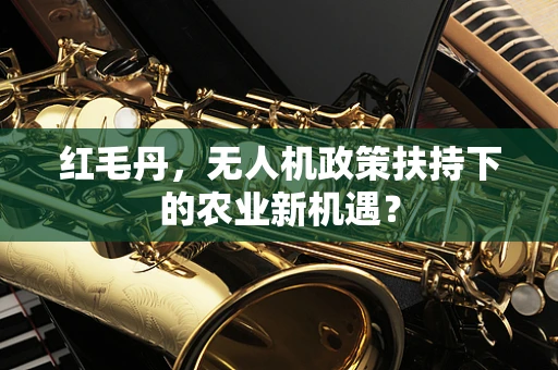 红毛丹，无人机政策扶持下的农业新机遇？