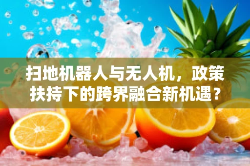 扫地机器人与无人机，政策扶持下的跨界融合新机遇？