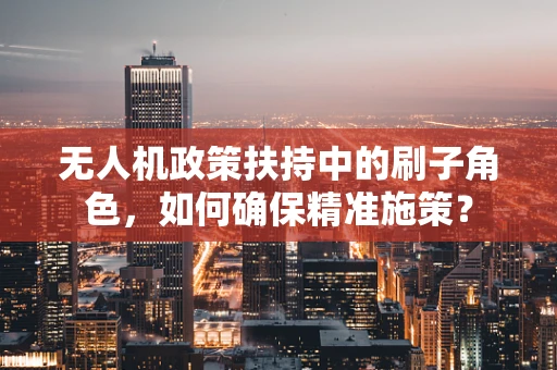 无人机政策扶持中的刷子角色，如何确保精准施策？