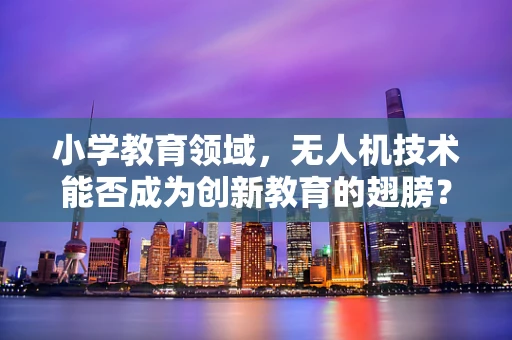 小学教育领域，无人机技术能否成为创新教育的翅膀？