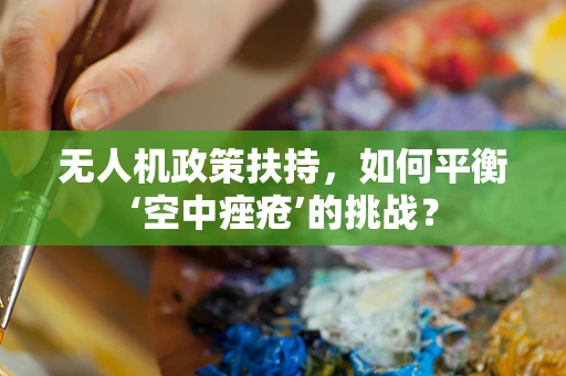 无人机政策扶持，如何平衡‘空中痤疮’的挑战？