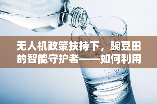 无人机政策扶持下，豌豆田的智能守护者——如何利用无人机技术促进农业精准管理？