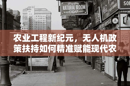 农业工程新纪元，无人机政策扶持如何精准赋能现代农业？