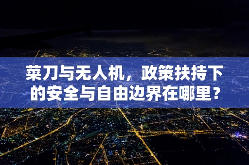 菜刀与无人机，政策扶持下的安全与自由边界在哪里？