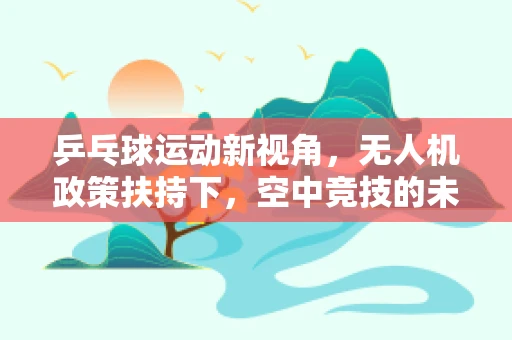 乒乓球运动新视角，无人机政策扶持下，空中竞技的未来之路？